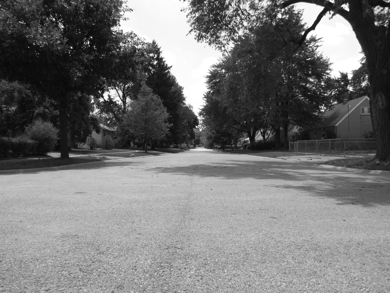 The Town of Bensenville